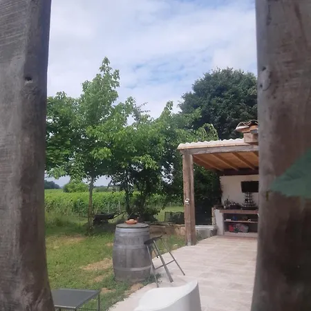 Maison d'hôtes 299 Bigaroux Saint-Émilion