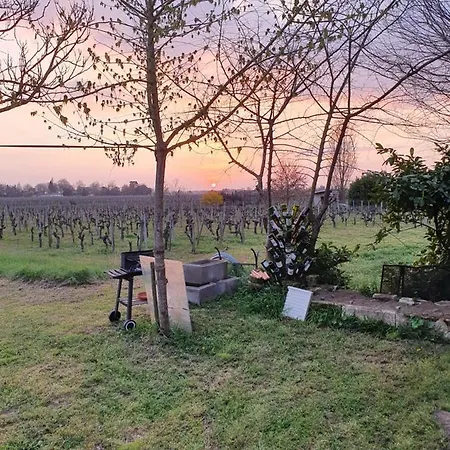 299 Bigaroux 3* Saint-Émilion