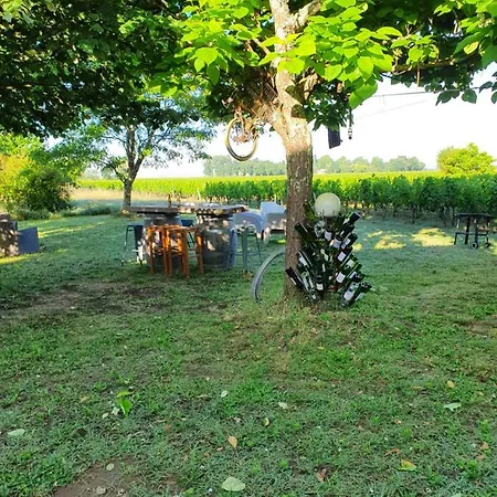 Guest house 299 Bigaroux Saint-Emilion