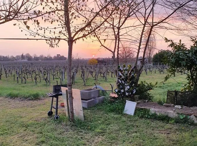 299 Bigaroux 3* Saint-Émilion