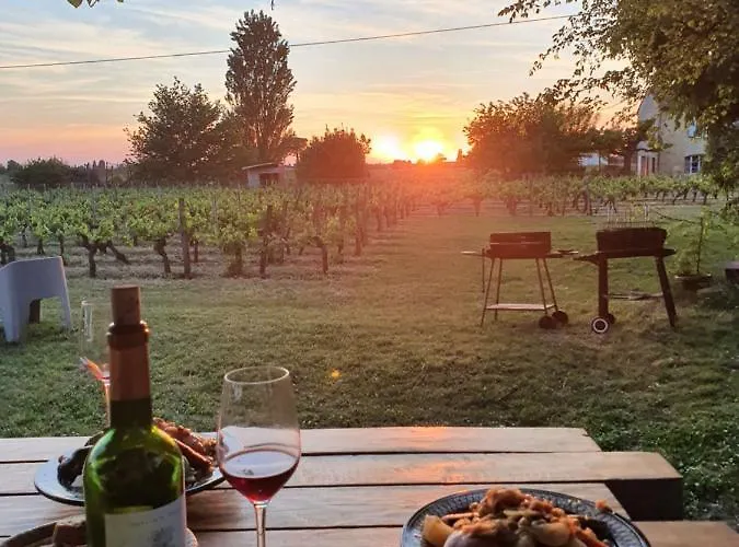 Gæstehus 299 Bigaroux Saint-Émilion